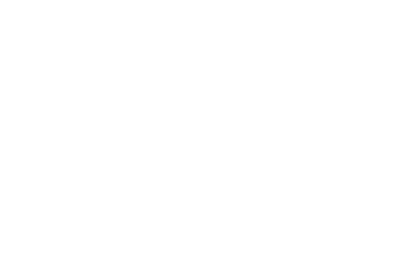 会社概要 – BM CAPITAL